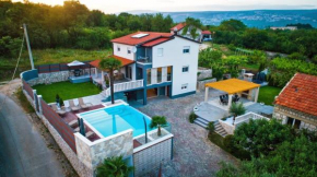 Luxury villa Vitam in Imotski, private pool